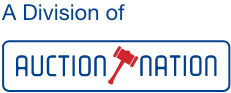 Auction Nation Logo